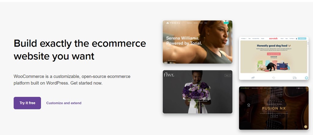 E-commerce Capabilities with hostinger.